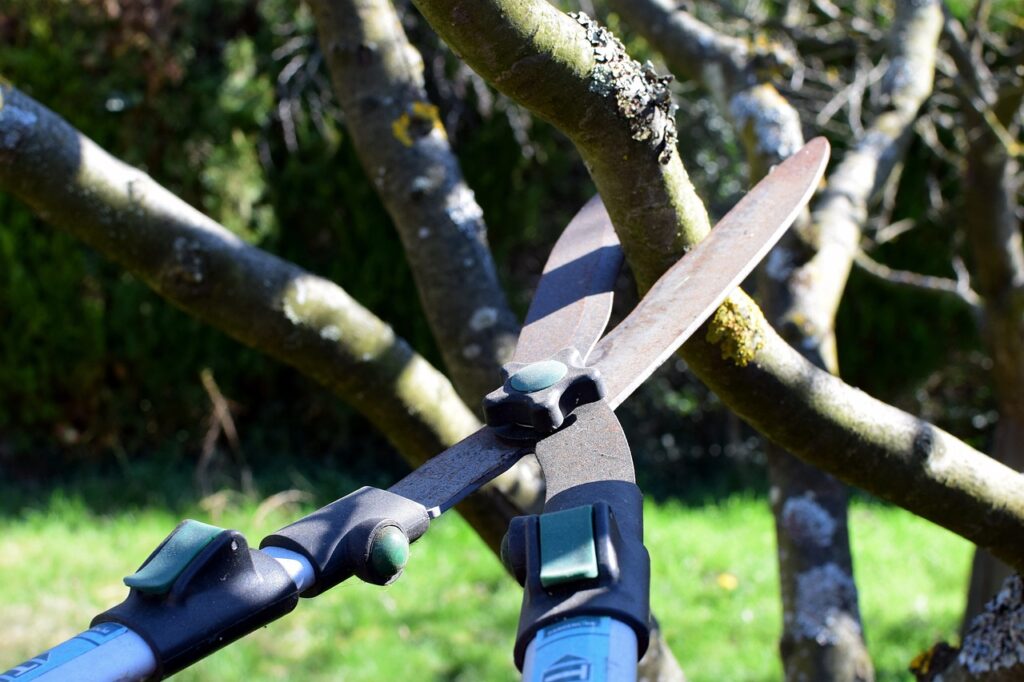 pruning shears, hedge trimmer, tree cutter-4964455.jpg