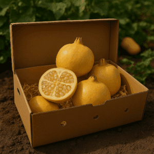 Caja de fruta