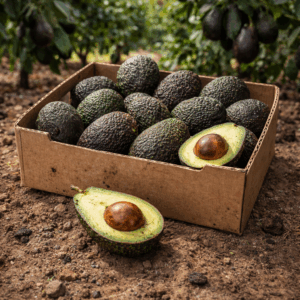 Venta online de aguacate